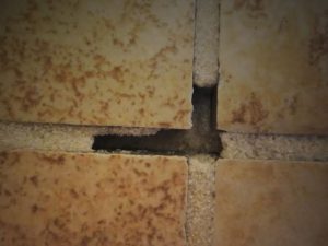 Hollow Tile and Grout