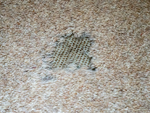 Hole in Carpet